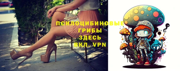 a pvp Мегион