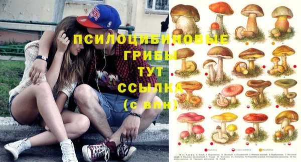 а пвп мука Медвежьегорск
