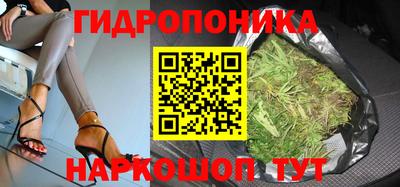 гидра Гатчина