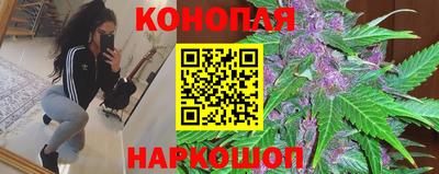 гидра Гатчина
