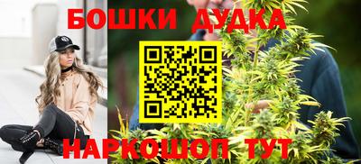 гидра Гатчина