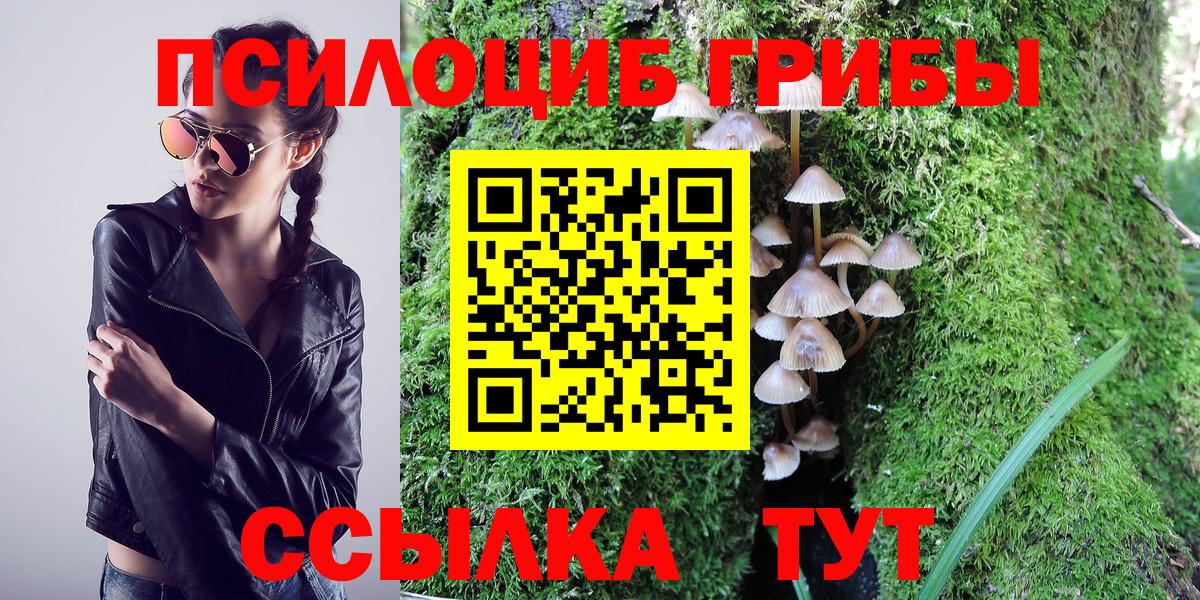 Псилоцибиновые грибы ЛСД Грозный