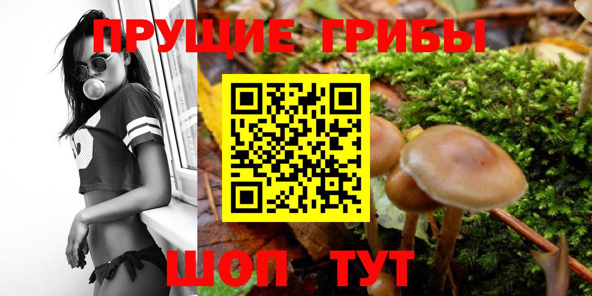 Галлюциногенные грибы прущие грибы Грозный